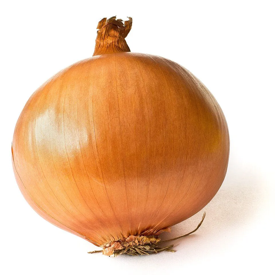 A whole brown onion